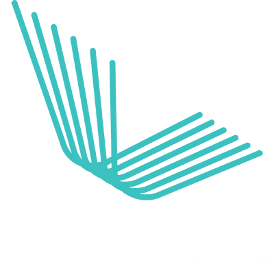 Lightforce-Logo
